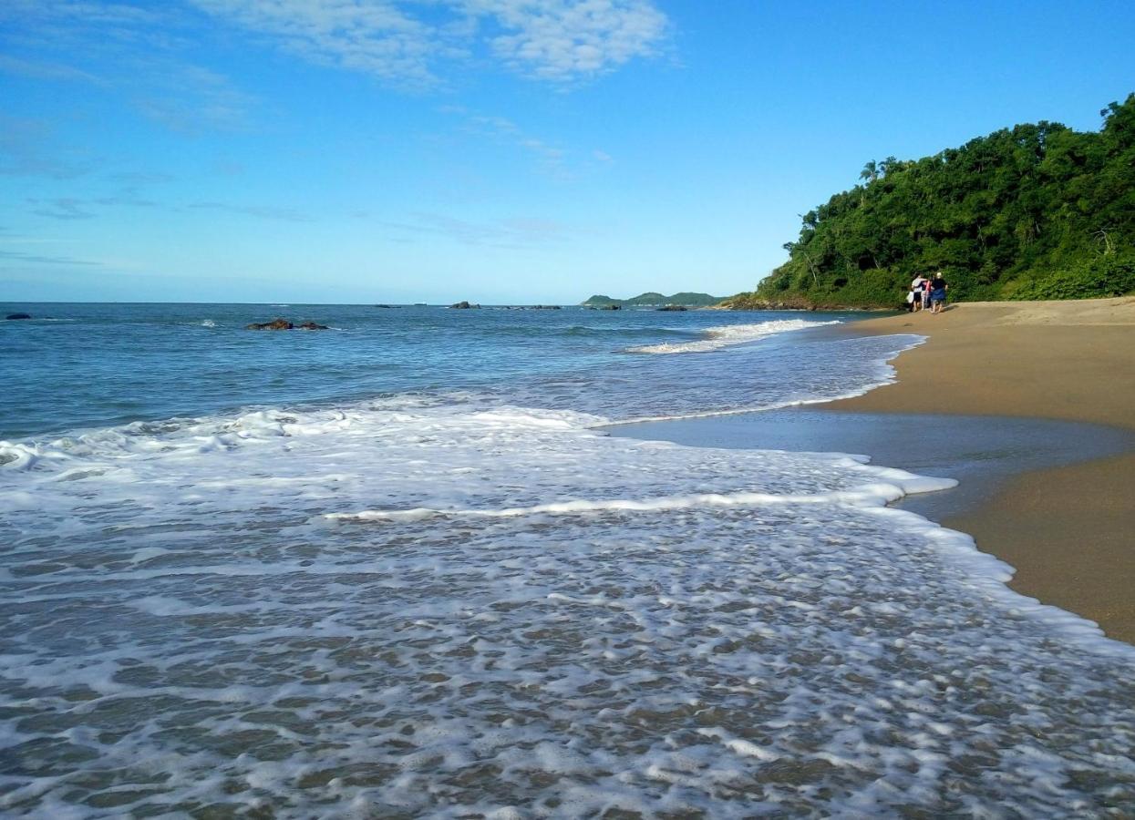 Curta De Armacao Casa Hortensia Holiday home